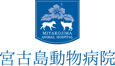 宮古島動物病院